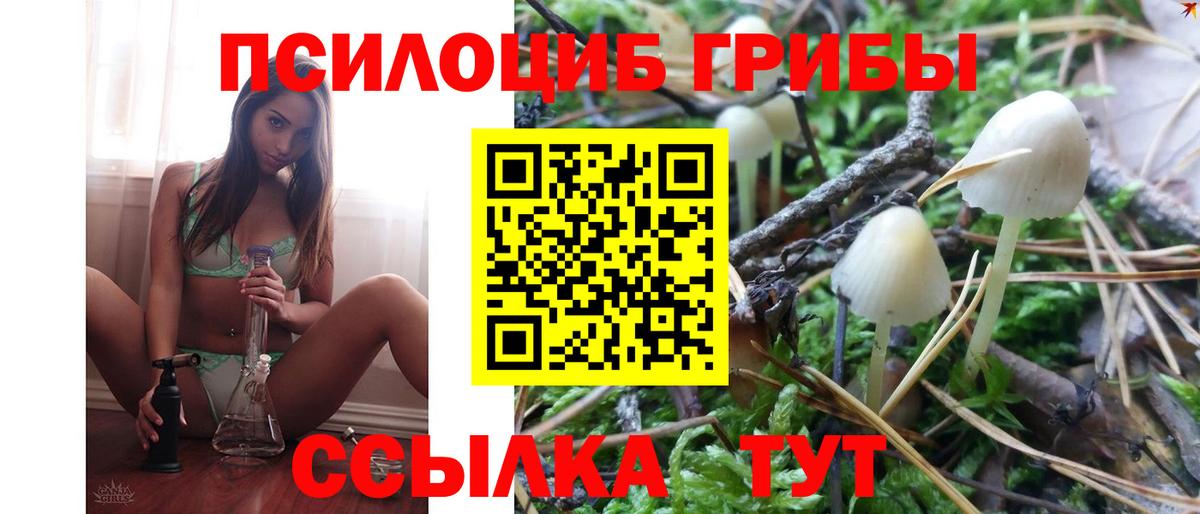 Избербаш  Галлюциногенные грибы GOLDEN TEACHER  Вход с VPN 