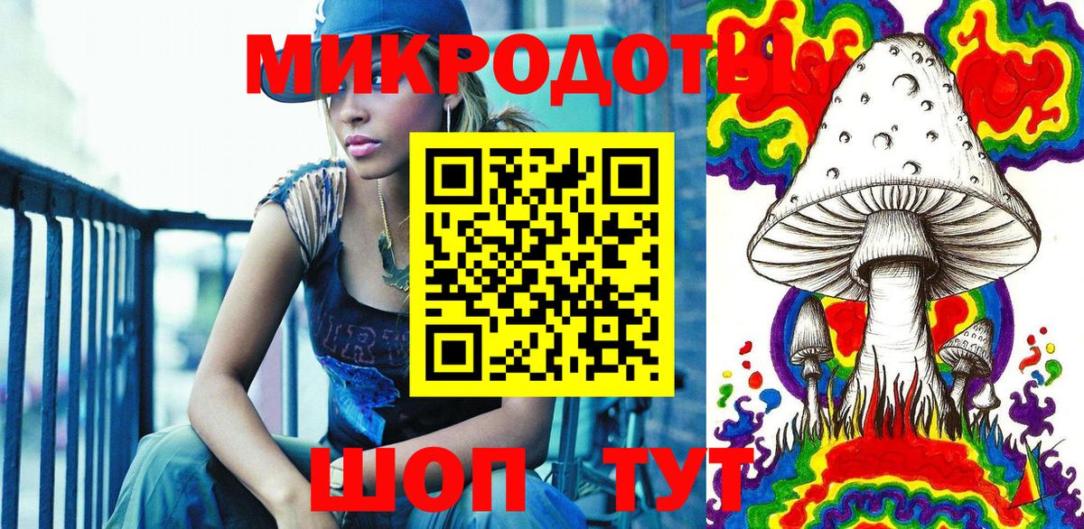 Псилоцибиновые грибы Cubensis Избербаш